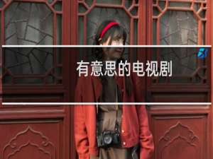 有意思的电视剧
