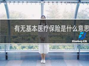 有无基本医疗保险是什么意思