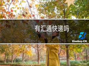 有汇通快递吗