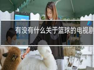 有没有什么关于篮球的电视剧