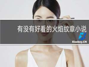 有没有好看的火焰纹章小说