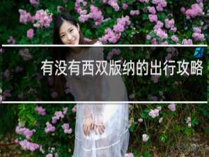 有没有西双版纳的出行攻略