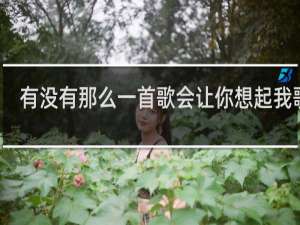 有没有那么一首歌会让你想起我歌词