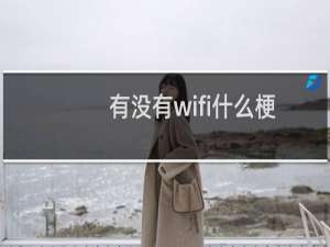 有没有wifi什么梗？有没有wifi是什么意思什么梗