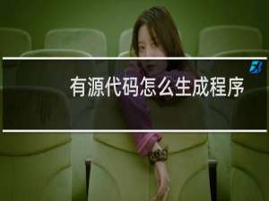 有源代码怎么生成程序