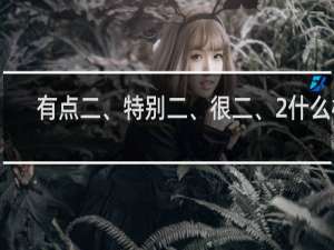有点二、特别二、很二、2什么梗