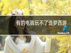 有的电脑玩不了造梦西游