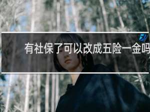 有社保了可以改成五险一金吗