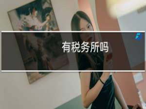 有税务所吗