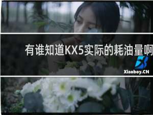 有谁知道KX5实际的耗油量啊