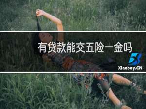 有贷款能交五险一金吗