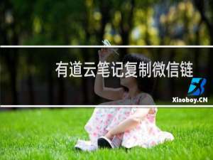 有道云笔记复制微信链接怎么不能保存微信内容?