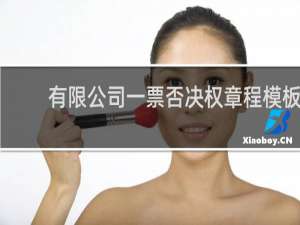 有限公司一票否决权章程模板