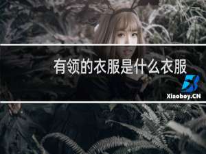 有领的衣服是什么衣服