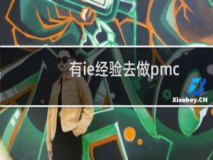 有ie经验去做pmc