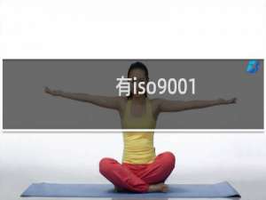 有iso9001