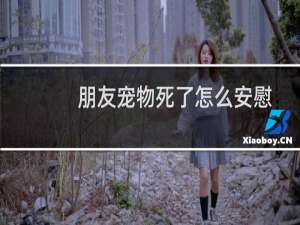 朋友宠物死了怎么安慰