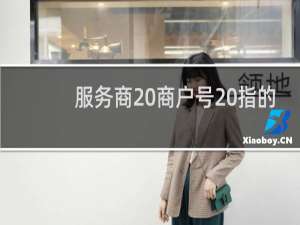 服务商 商户号 指的是啥