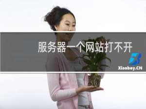 服务器一个网站打不开，帮处理。