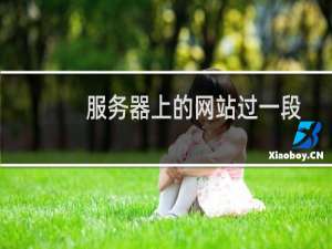 服务器上的网站过一段时间就出现无法访问