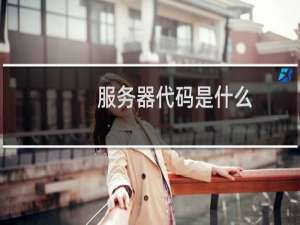 服务器代码是什么，请告诉我