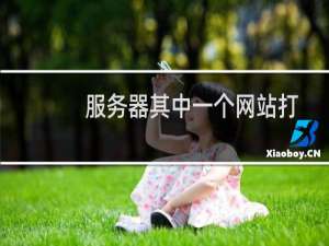 服务器其中一个网站打不开