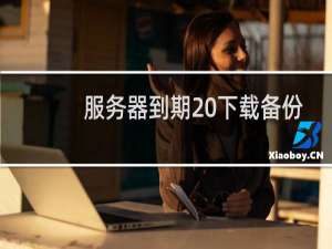 服务器到期 下载备份文件 谢谢