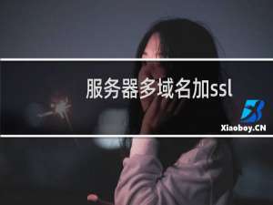 服务器多域名加ssl证书配置绑定