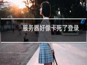 服务器好像卡死了登录不上去
