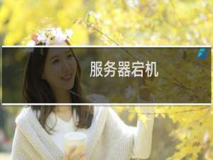 服务器宕机，连不上了-云服务器问题