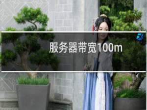 服务器带宽100m