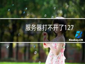 服务器打不开了127.0.0.1