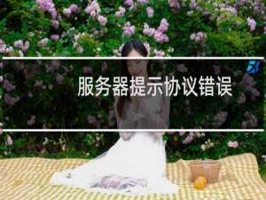 服务器提示协议错误，远程连接不了