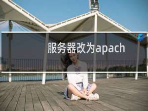 服务器改为apache的 但是还是ngnix的