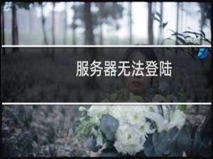 服务器无法登陆，网站打不开