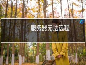 服务器无法远程，网站打不开