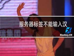 服务器标签不能输入汉字-云服务器问题
