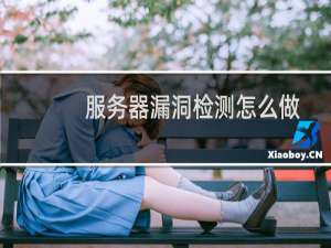 服务器漏洞检测怎么做