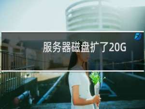 服务器磁盘扩了20G重启后无法连接