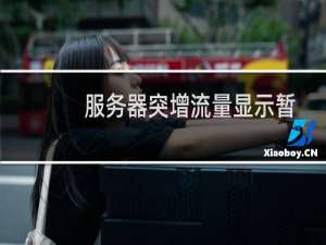 服务器突增流量显示暂停服务