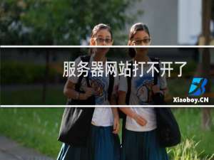 服务器网站打不开了,我们http和https打开不一样