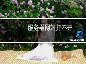 服务器网站打不开，ping也不通