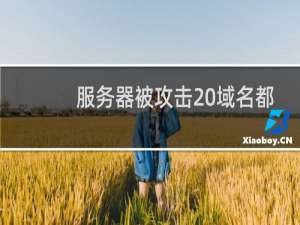 服务器被攻击 域名都不开