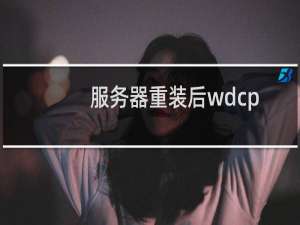 服务器重装后wdcp打不开