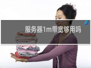 服务器1m带宽够用吗
