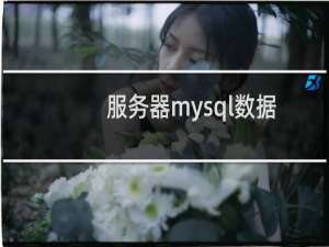 服务器mysql数据文件转移