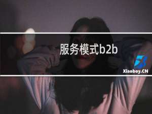 服务模式b2b
