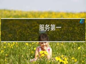 服务第一(关于服务第一的简介)
