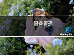 服务管理(关于服务管理的简介)