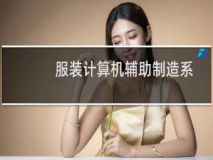 服装计算机辅助制造系统(关于服装计算机辅助制造系统的简介)